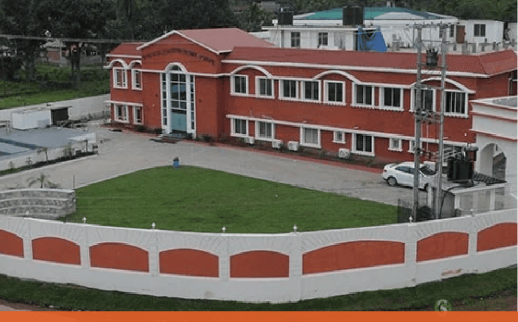 98858cc0 spring dale international school 6