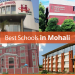 e598d863 best school in mohali bannnar